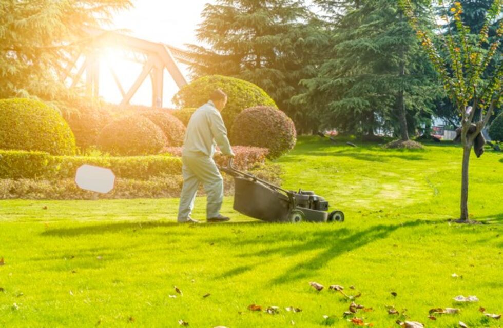 ¿El césped del vecino siempre es más verde?