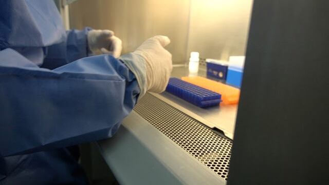 El equipo de Biología Molecular diariamente realiza análisis de muestras para confirmar o descartar el diagnóstico de coronavirus\u002E