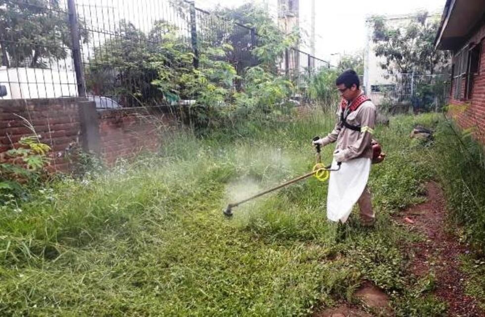 Se realizan tareas de mantenimiento para prevenir el dengue en escuelas de Oberá