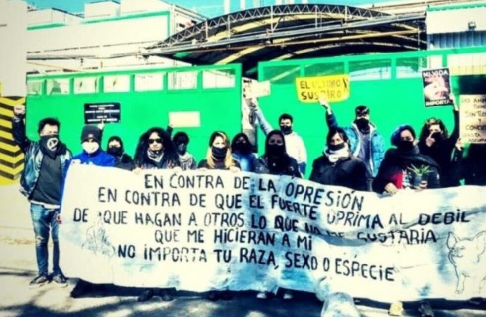 Carniceros golpearon a veganos que se manifestaban en un frigorífico de Monte Grande