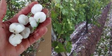 Granizo afectó zonas rurales de Mendoza\u002E