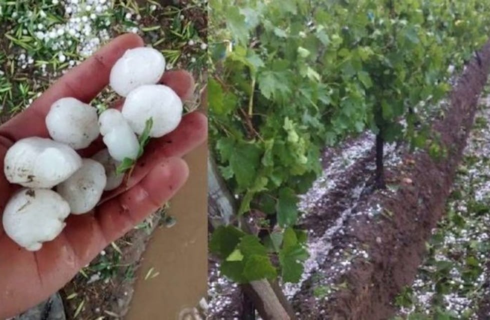 Las zonas cultivadas más castigadas por la tormenta fueron Lavalle y San Martín