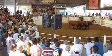 Expo Rural Jesús María