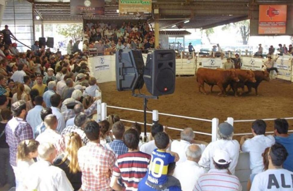 Comienza el viernes en Córdoba la Expo Rural de Jesús María