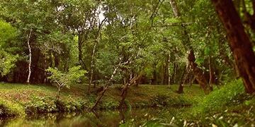 Alem modifican una Ordenanza que protege los cursos de agua