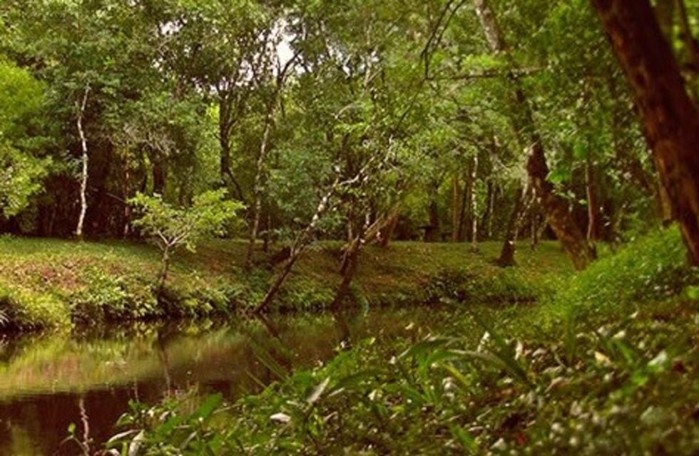 Alem modifican una Ordenanza que protege los cursos de agua