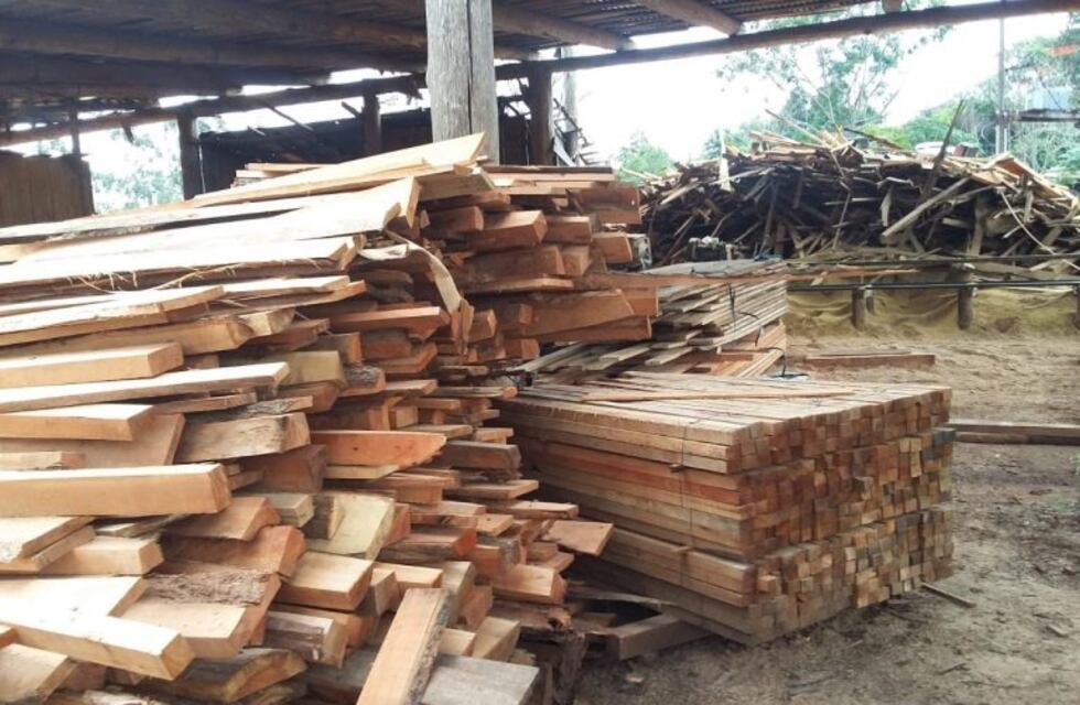 Dos de Mayo: clausuraron una planta industrial y decomisaron madera nativa