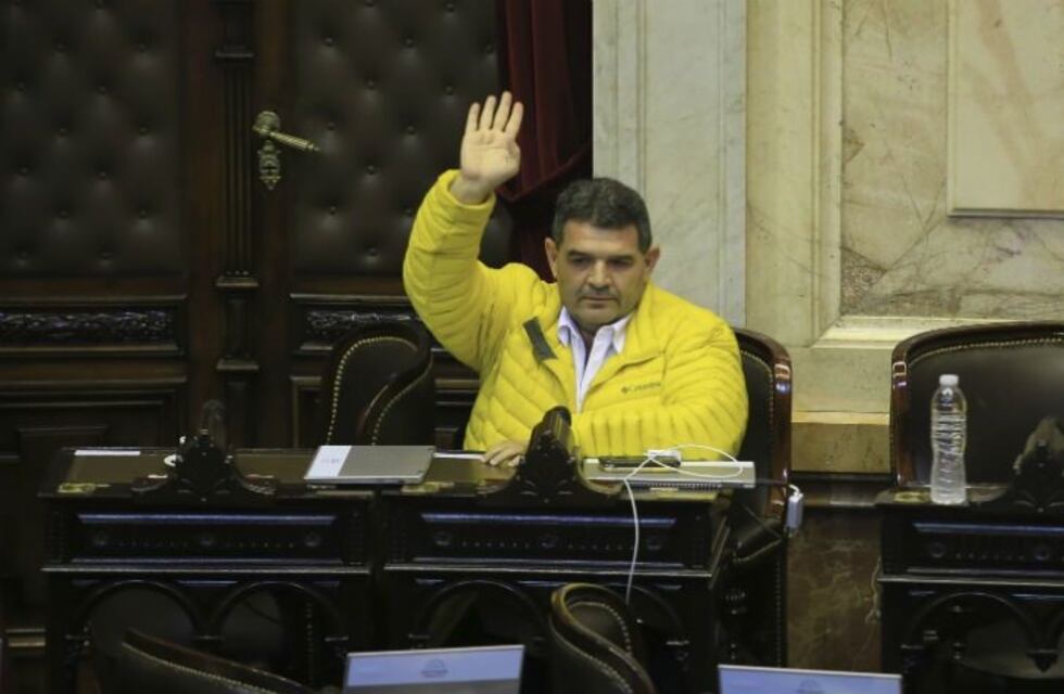 Desplazaron a Olmedo de la Presidencia del Parlasur: una nueva interna en La Libertad Avanza