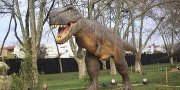 El Municipio otorgó colectivos gratuitos para Tecnópolis en Mar del Plata