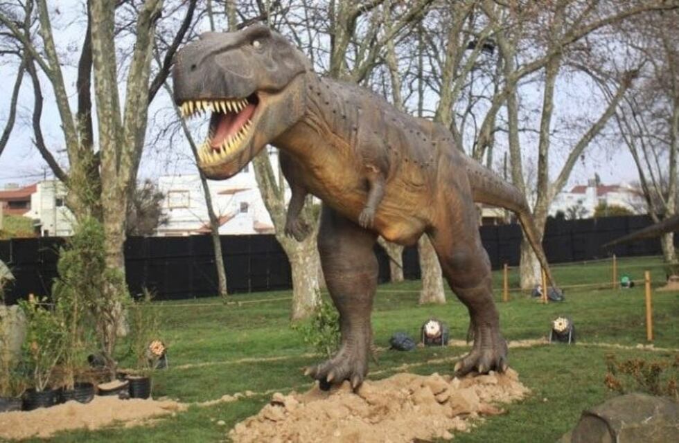 El Municipio otorgó colectivos gratuitos para Tecnópolis en Mar del Plata