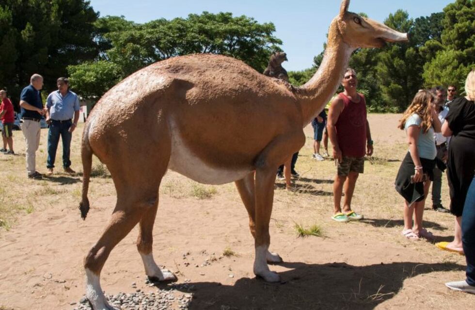 Actividades para vacaciones de invierno en Pehuen Co