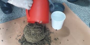 Secuestran más de 4\u002E900 dosis de marihuana y detienen a una persona en la Ruta 11\u002E (Web)\u002E