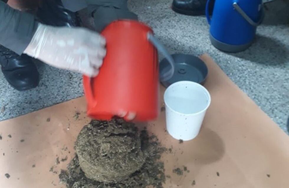 Secuestran más de 4.900 dosis de marihuana y detienen a una persona en la Ruta 11