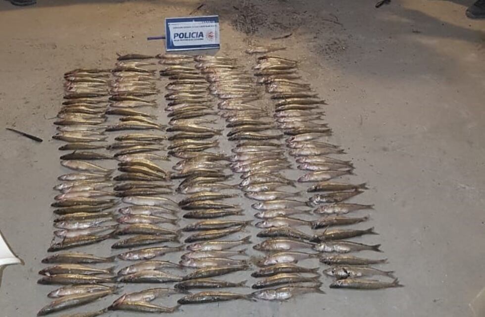 El C.E.R realizó secuestro de redes de pescadores furtivos