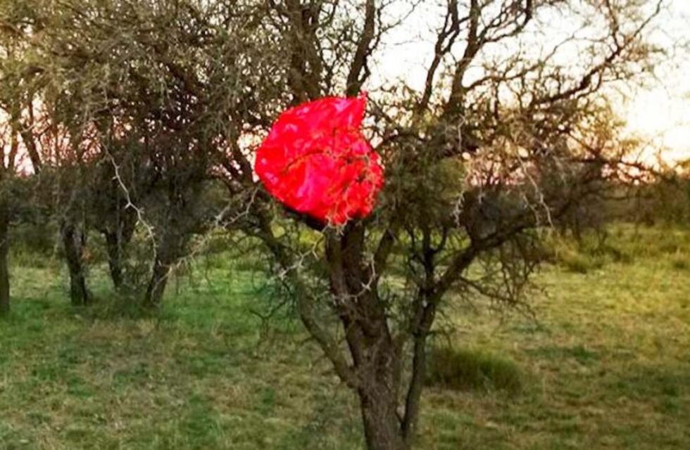 Un globo rojo con un mensaje cayó en un campo de La Pampa y se busca al remitente
