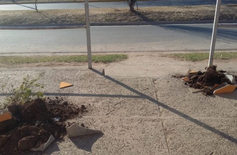 Indignación: un hombre intentó robar dos macetas, se le cayeron en el trayecto a su camioneta y se fue dejando un desastre en la vereda