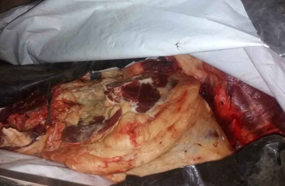 Decomisaron 150 kilos de carne no apta para consumo en Mosconi