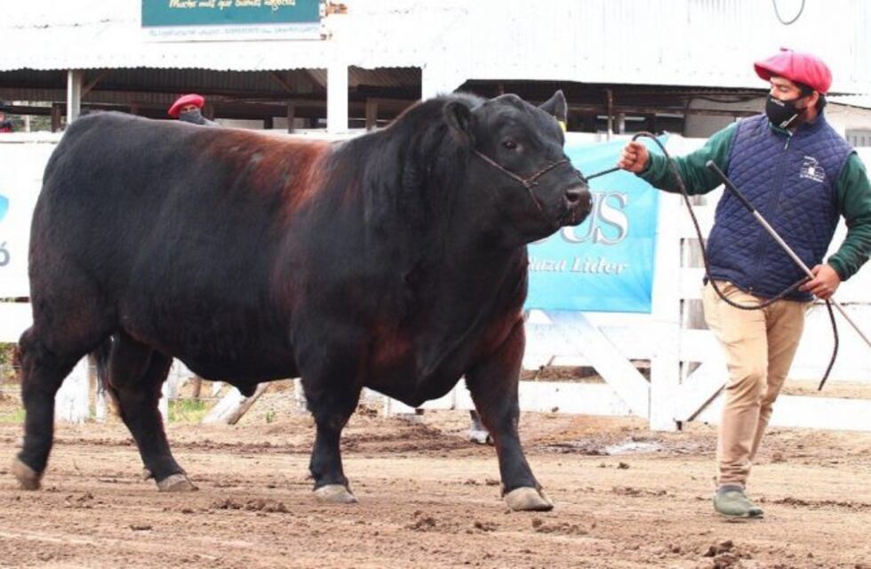 Vendieron a Mbappé en Río Cuarto en $ 1,5 millón