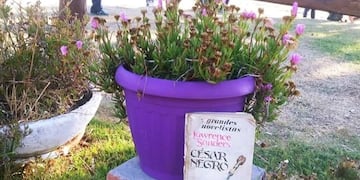 Siembra de libros