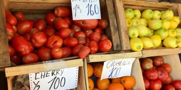 Verdulerías porteñas y bonaerenses sufren el sideral aumento del tomate\u002E (Clarín)