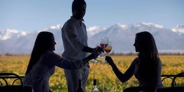 Degustación vino Mendoza