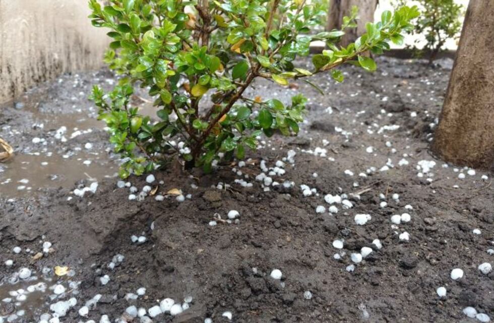 Cayó piedra en Córdoba y en Alta Gracia