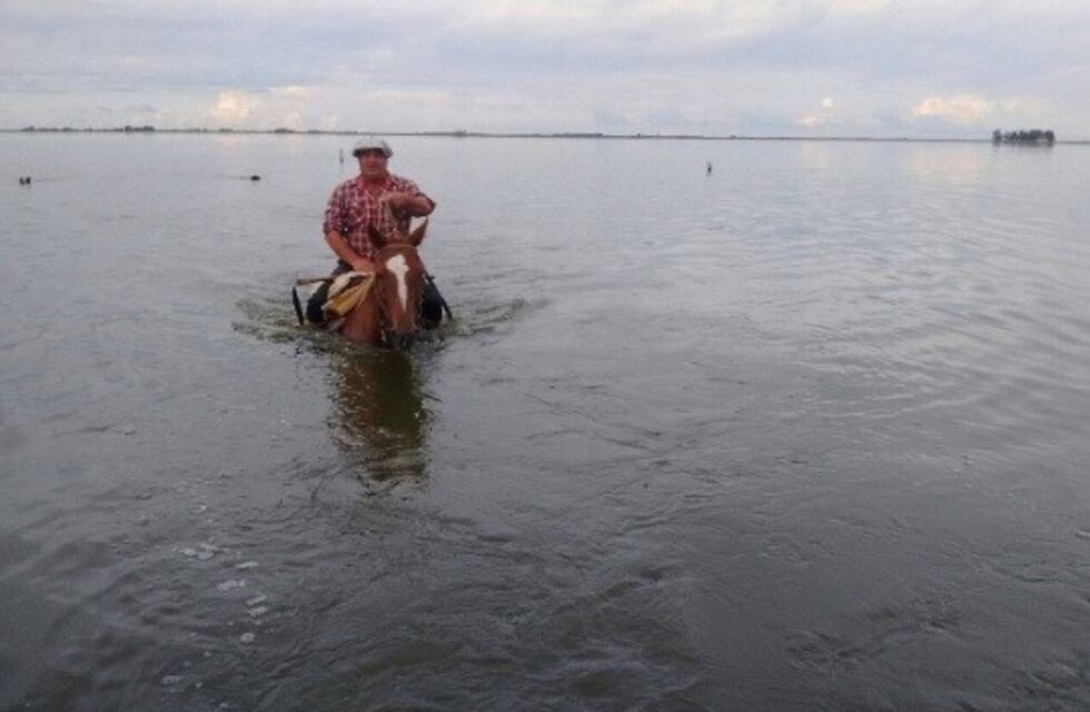 Inundaciones en General Villegas: los productores temen que se vea dificultada la preñez de las vacas