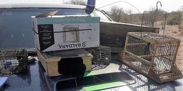 Fueron rescatadas más de 100 aves y se secuestraron jaulas y tramperos\u002E