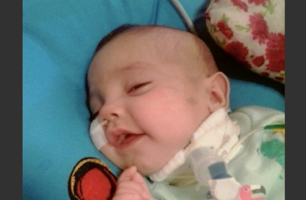 Azul ya está en su casa: "ayer fue la primera vez que vio la luz del sol"