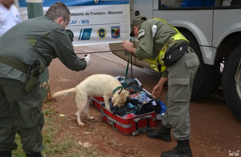 Rechazaron la excarcelación de dos personas que transportaban droga en un colectivo de larga distancia