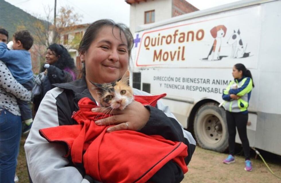 Cómo sigue el cronograma de castraciones para la semana próxima