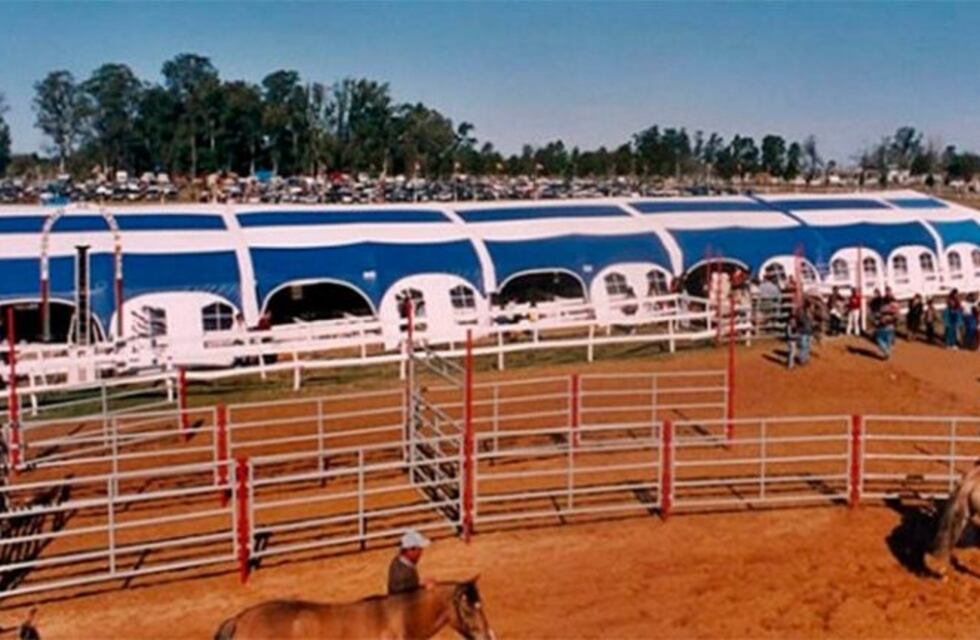 Presidente de la Sociedad Rural de Concordia en contra del impuesto para grandes fortunas