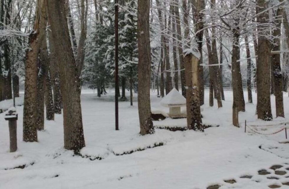 En plena primavera, hubo cortes de ruta por la nieve en Mendoza