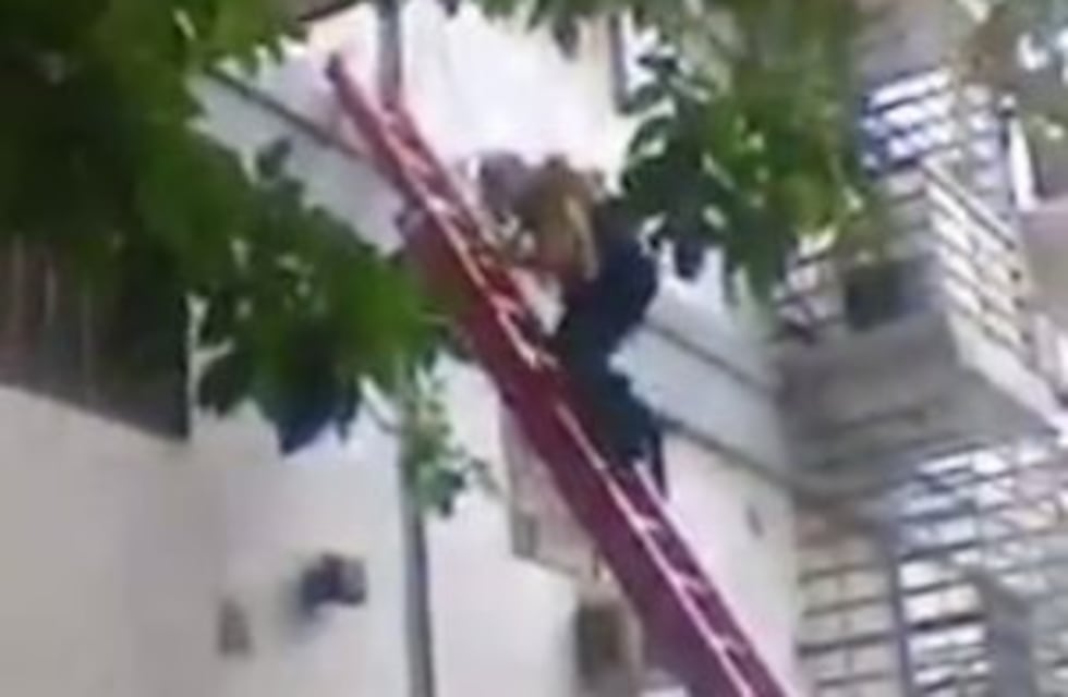 Los bomberos rescataron a una perrita que había quedado en la cornisa de un segundo piso
