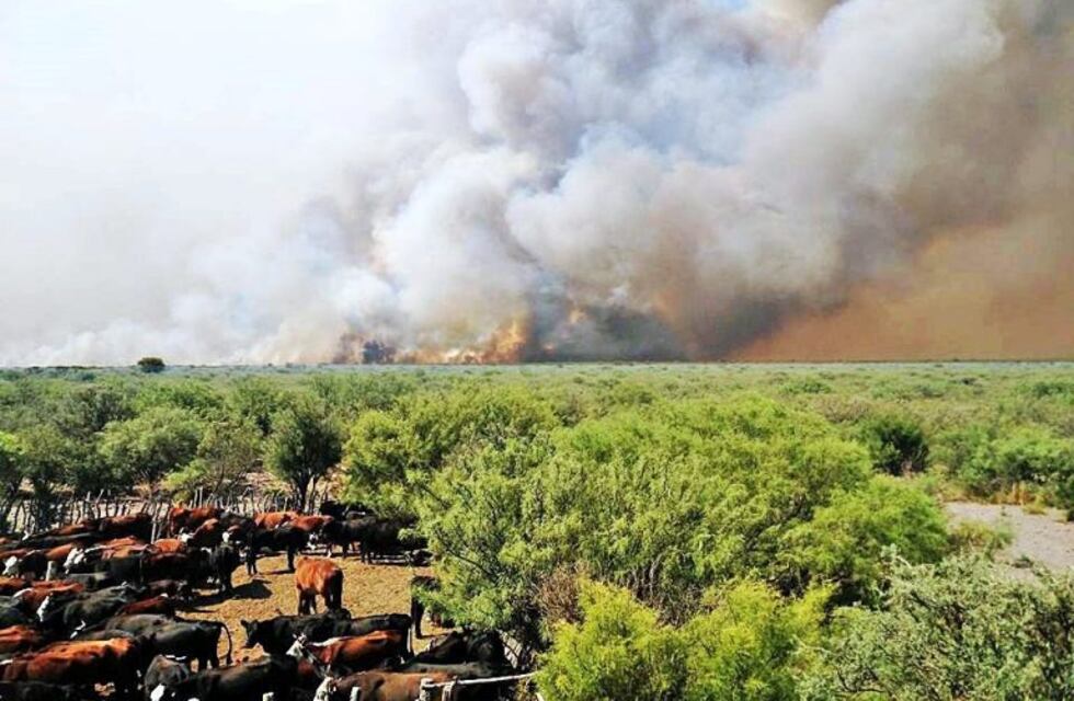 Mendoza y el flagelo de los incendios forestales