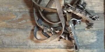 Robo de caballos en Alta Gracia