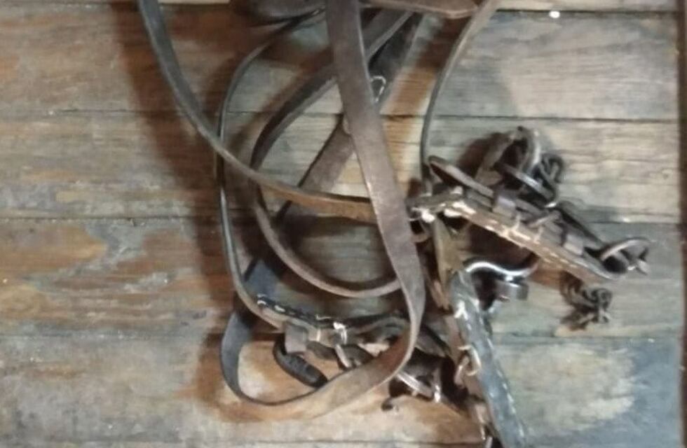 Vinieron desde Córdoba para robar dos caballos, y uno de ellos quedó detenido