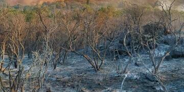 Incendios en Ambul
