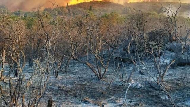Incendios en Ambul