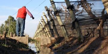 Manejo hídrico: los productores beneficiados en total son más de 500. Imagen ilustrativa.