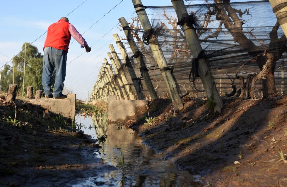 Crisis hídrica: recuperaron otros cuatro consorcios de riego