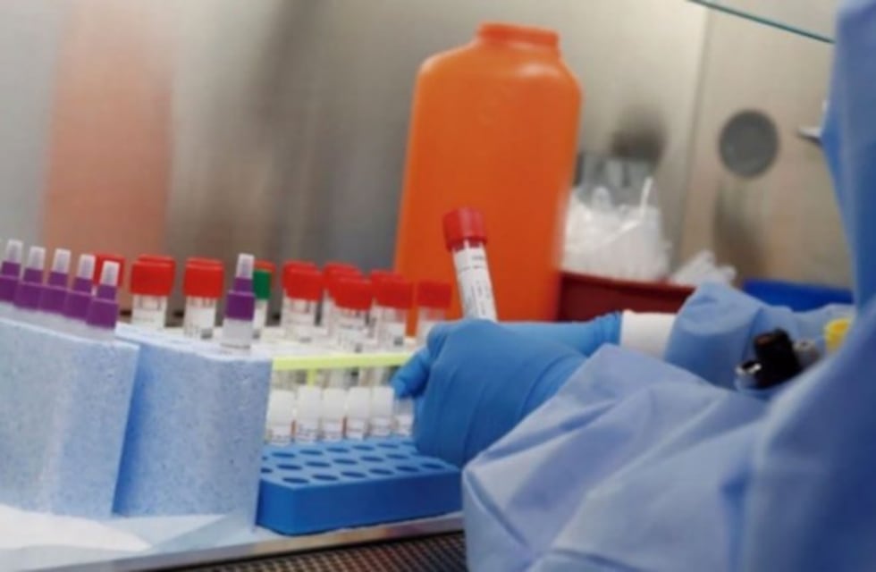 Coronavirus en Bahía: son 508 casos en total y 39 de transmisión comunitaria