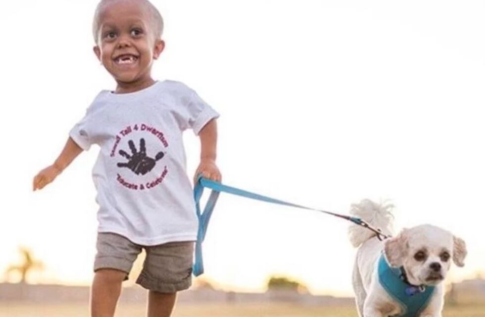 Famosos impulsaron colectas para llevar a Disney al niño que quiso quitarse la vida por sufrir bullying