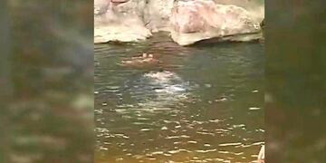 Rescate en El Fantasio\u002E