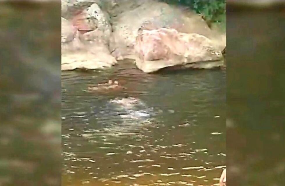 Susto en El Fantasio: un abuelo y su nieto fueron rescatados por guardavidas