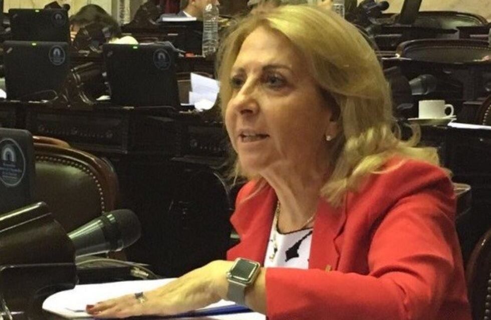 Polémica en Mendoza por el proyecto donde pretenden cambiar la ley de Vinos