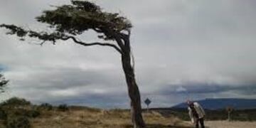 Resultado de imagen para dia del arbol tierra fuego malvinas\nHarberton: la estancia del fin del mundo