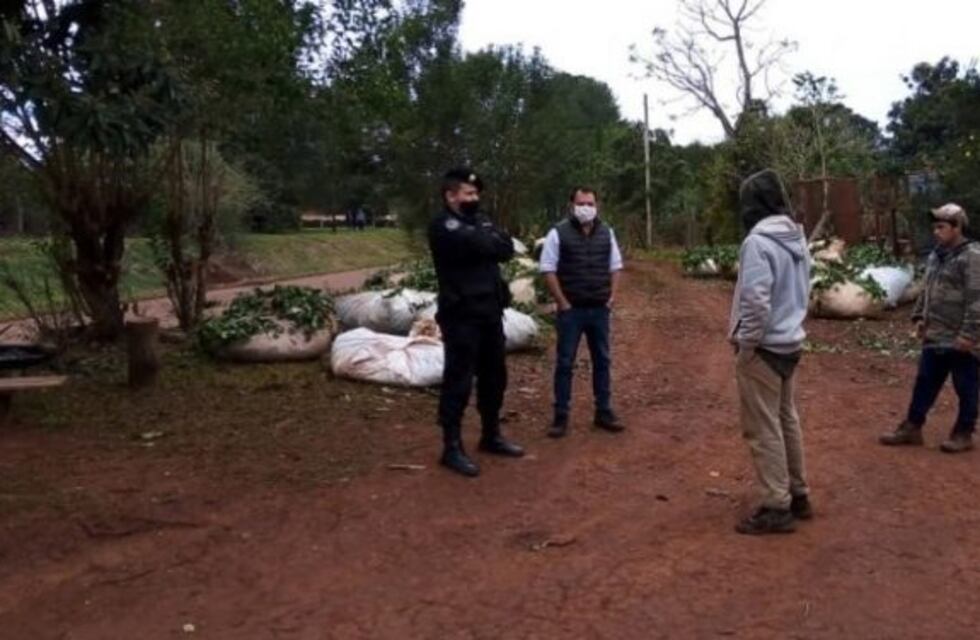 Continúan los operativos en lugares de acopio por el robo de yerba mate