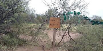 Toma de tierras en el Eva Perón