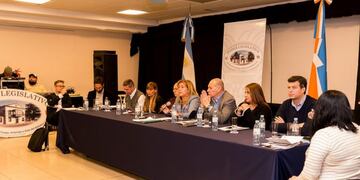 Legisladores de Tierra del Fuego